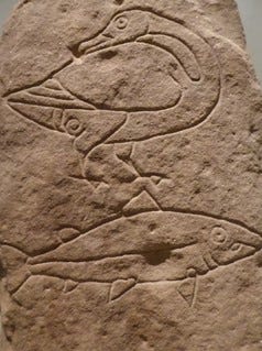 Pictish carvings with salmon