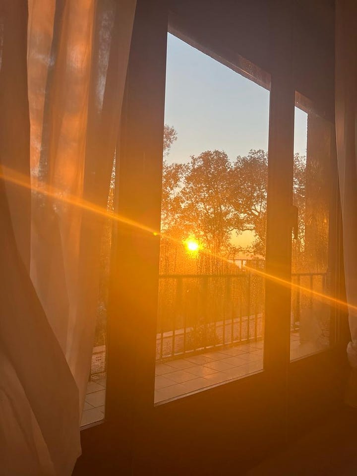 Sun breaking through a valley full of the trees, as seen through our bedroom window or the balcony outside that window, with the ocean barely visible through the branches.