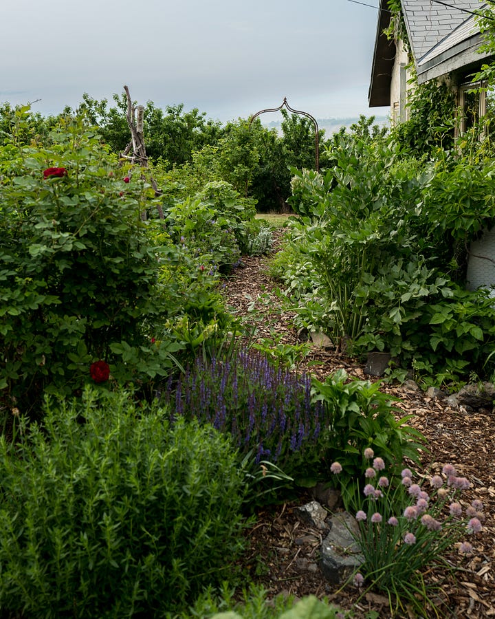 Cottage Gardens at The Elliott Homestead