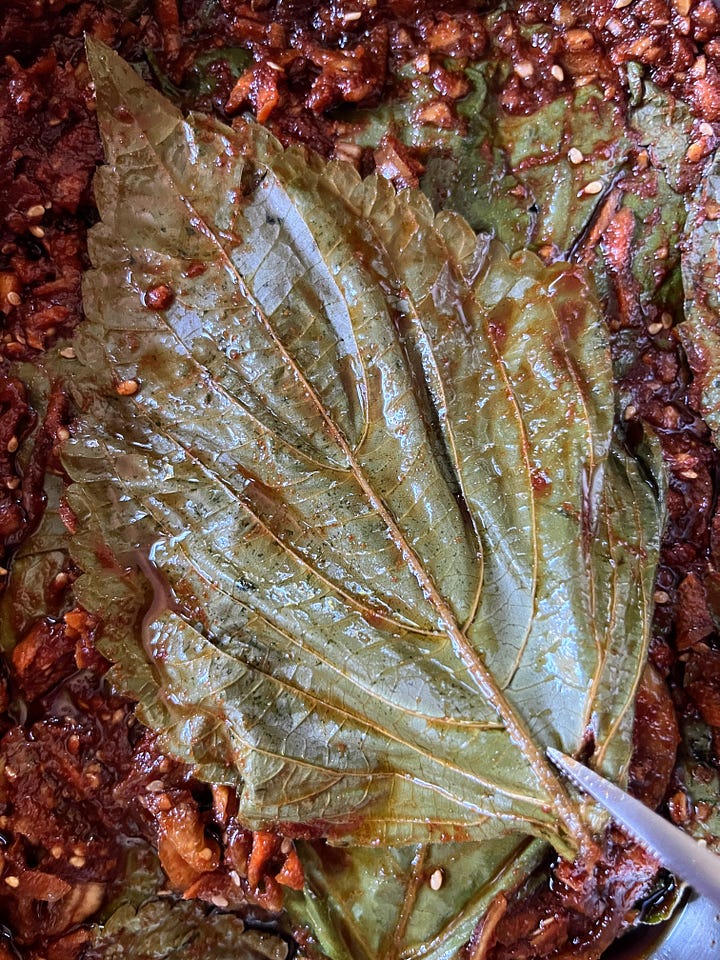 perilla kimchi making process photos, kimchi after being aged a few weeks