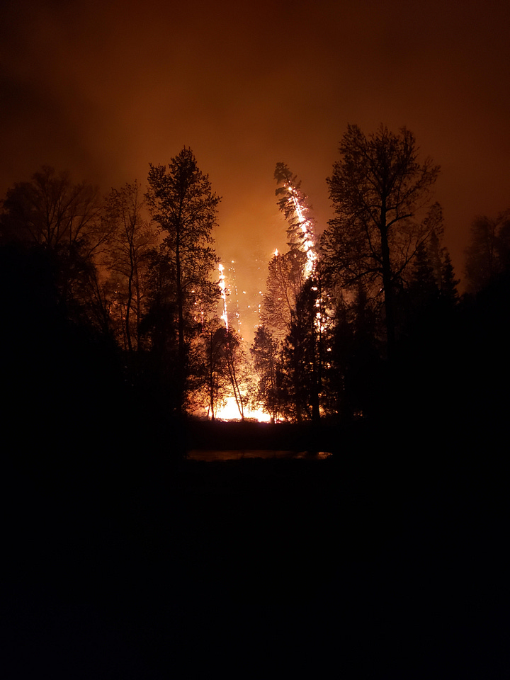several photos of trees on fire