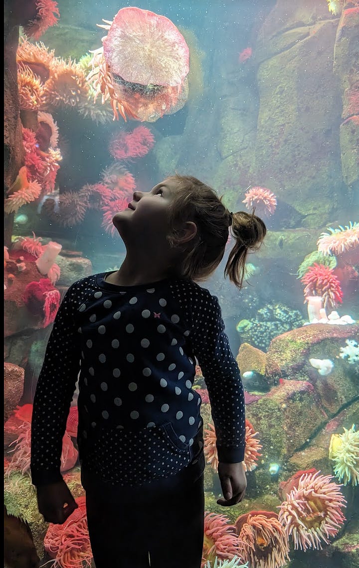 The Kooman family does Toronto - images of the Go Train and Ripley's aquarium