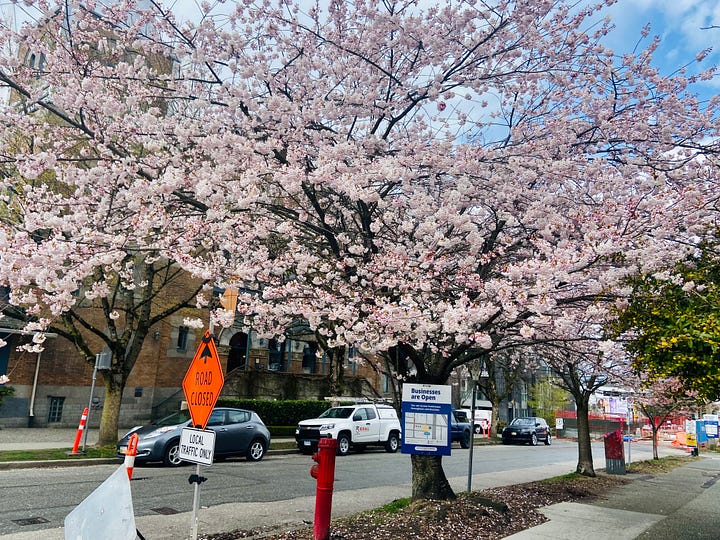 Two images: the left image has 5 bouquets of flowers in pastel shades; the right image has a tree full of blooming plum blossoms.