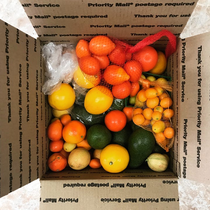 California citrus, care packages