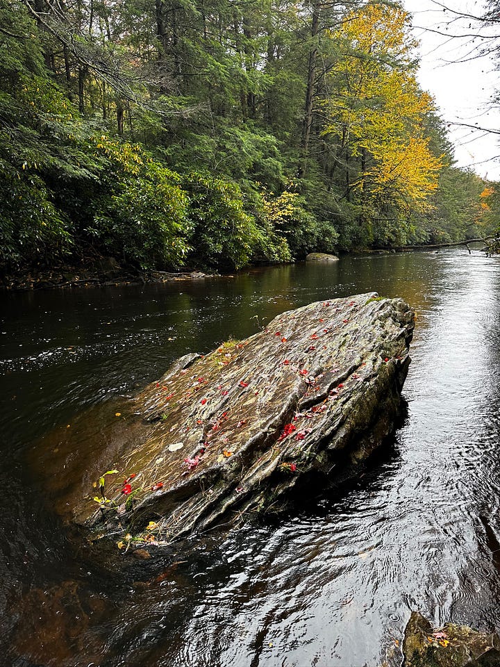 Hikes through Hickory Run State Park and Ricketts Glen State Park near the Poconos. Photos by Noah Meanix