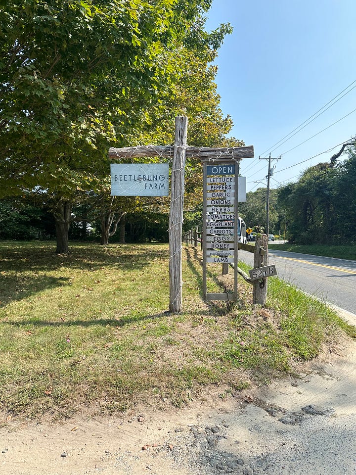 Beetlebung Farm stand, Martha's Vineyard