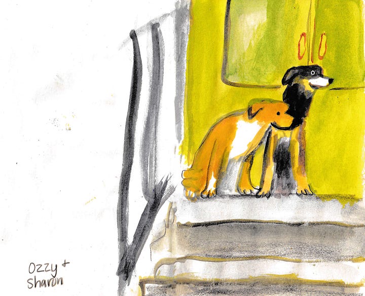 dog illustrations by Beth Spencer