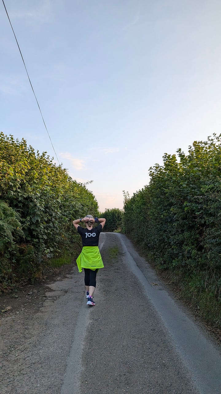 photos of narrow rural lanes in Devon