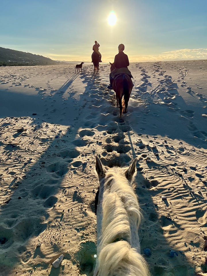 Tarifa horseback riding