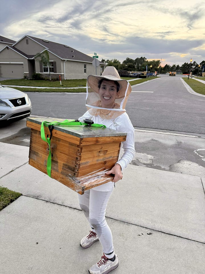 Me in a bee suit, smiling but hesitant. Me holding the hive. A bee feeder in a plant pot with stones. The bee hive tucked into an enclave surrounded by oak branches.