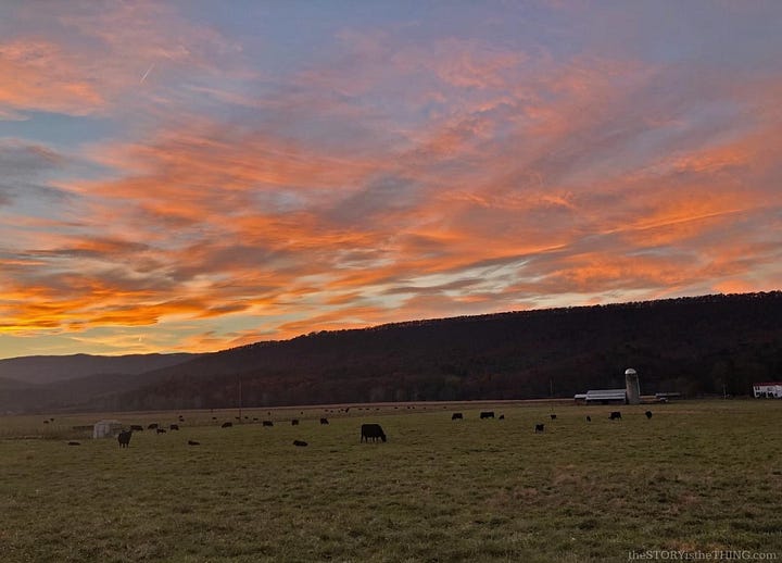 Four photos of scenic landscapes in West Virginia