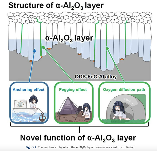 α-Al2O3 Protective Layer That Sticks to Metal Surface with Functions of an Anchor and Peg