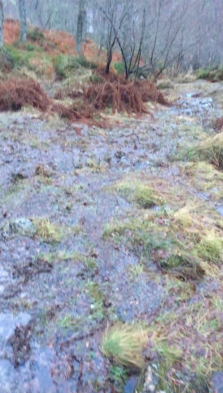 Images: 1. up on Craigellachie summit at 8.30am; 2. me on Craigellachie summit with Aviemore and Cairn Gorm in the windy backdrop; 3. Hoka trail shoes in micro crampons on wet peaty ground; 4. the wet peat bog “trail” down from Craigellachie; 5. looking disgruntled at the bottom of the hill.