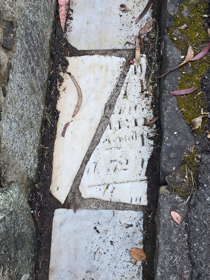 tombstones with inscriptions lining buena vista park in san francisco