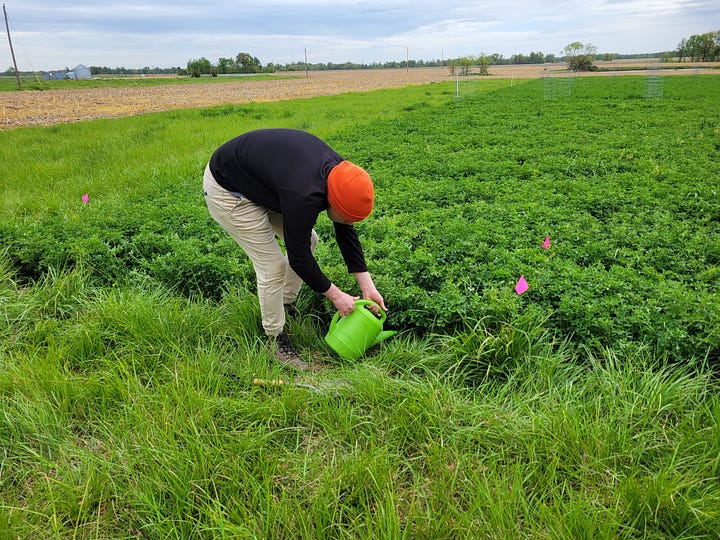 Me doing research (planting tree, holding a chainsaw, watering an alfalfa treatment, and a picture of my alfalfa plot)