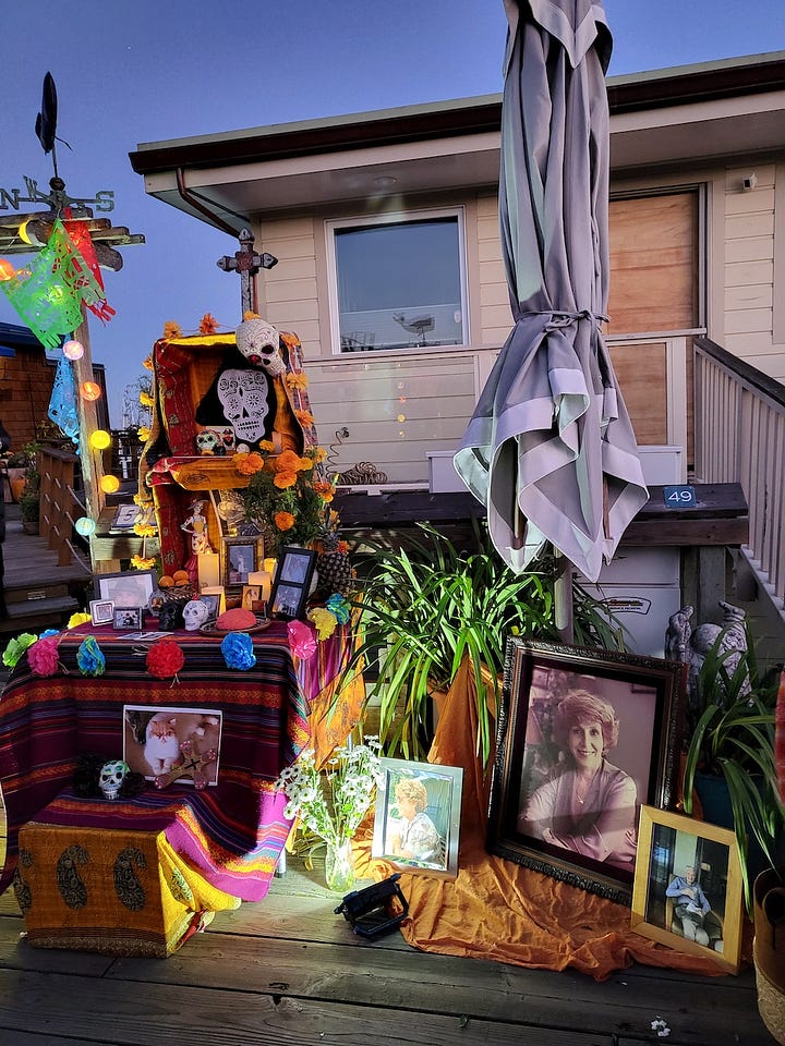 first image shows photos and mementos displayed on the dock, and an egret taking flight off the back deck as viewed from inside