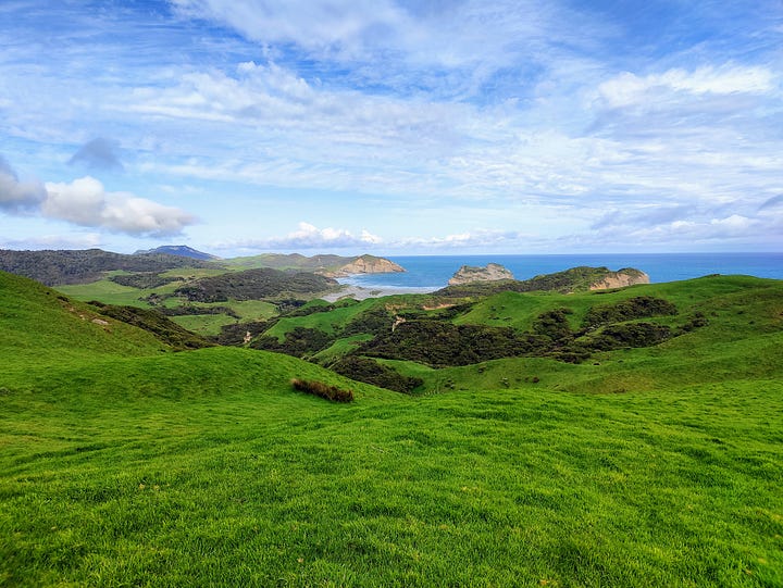 Rolling green hills and grey sand dunes of the Puponga Hilltop Walk, near Cape Farewell