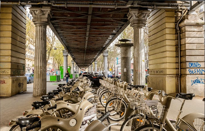 A fuzzy flower and a row of bicycles on a Paris street.