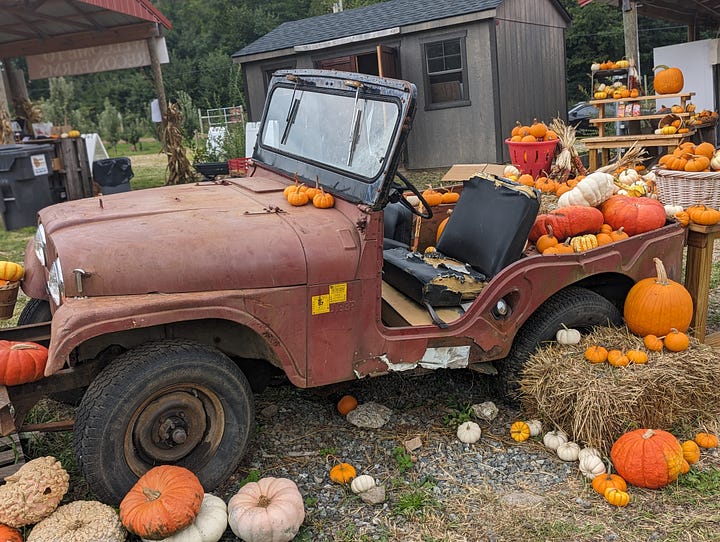 Four images: one of pumpkins in a crate that says "Frecon", a close-up of a pumpkin orchard, a Jeep with a pumpkin in it, and my grey tabby Darth curled up on a soft sherpa fleece blanket with leaves on it.
