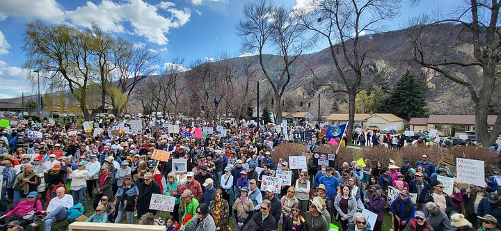Clockwise from lefft: A large crowd in a plaza, dressed warmly and carrying signs; a large crowd in a park in front of a lovely looking mountain and a few houses; a woman wearing sunglasses, a hat and a jean jacket holding two signs in front of a crowd and some trees, one of which says "Beware DOGE" and the other of which reads Ban DDT (Dumb Donald Trump); a crowd in front of a fancy looking entryway to a government building, one of whom is carrying a sign that says "No Dictators in America."
