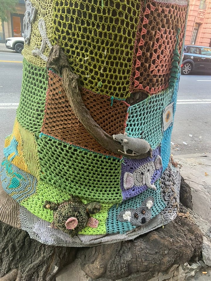 A storefront with a orange sign that says "Knitty City" and some knit garments in the window, a tree trunk covered in some neon green knit.