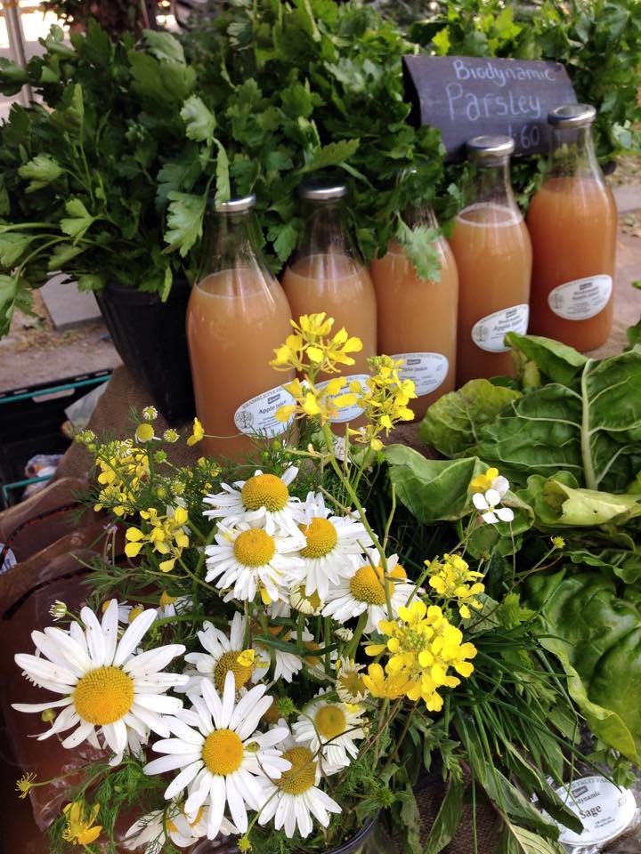 Brambletye Market stall 2010-2015 organic, biodynamic fruit vegetables juice