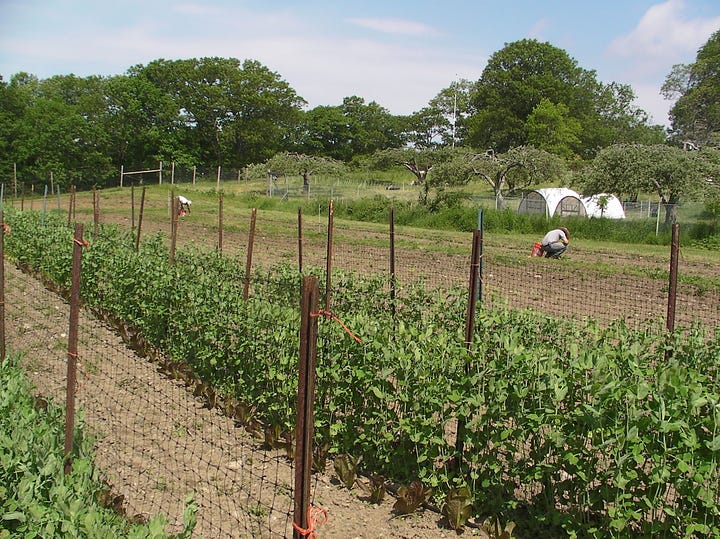 Farmers and farming around downeast Maine and the Hudson River Valley