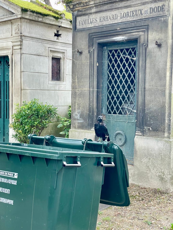 Paris cemetery graves