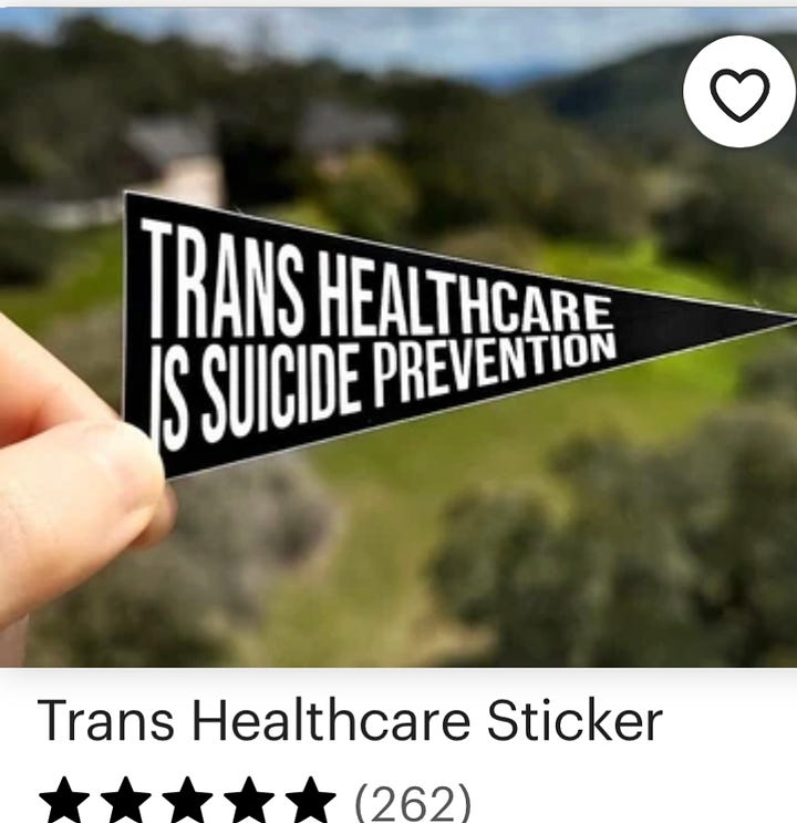 A banner reads "trans healthcare is suicide prevention." A rabid wolflike creature with blood spewing is described as a "trans rage sticker." Earrings depict two synthetic estradiol pills. A t-shirt with barbed surgical scars beneath what would have been breasts. Stickers read "a trans person peed here. You survived," and, "Death before detransition."