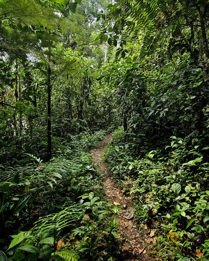 Izquierda: camino a la cascada Canalendres. Derecha: Cañón del Dantayaco. Mocoa, Putumayo