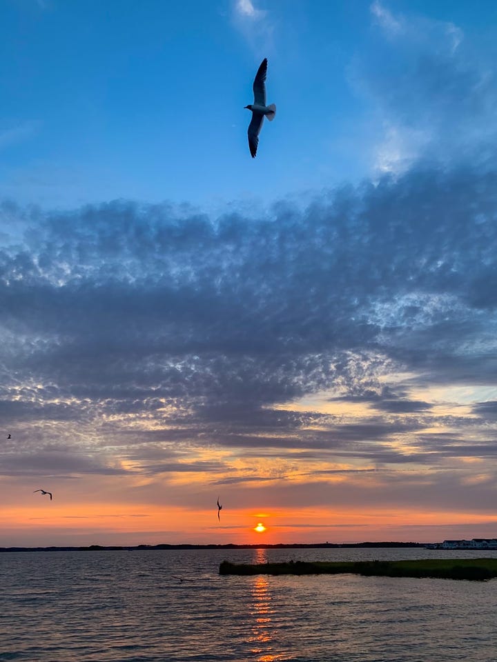 Each day I start by setting the mood and find peace sitting by the bay.