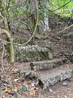 scenery from a village with nature 