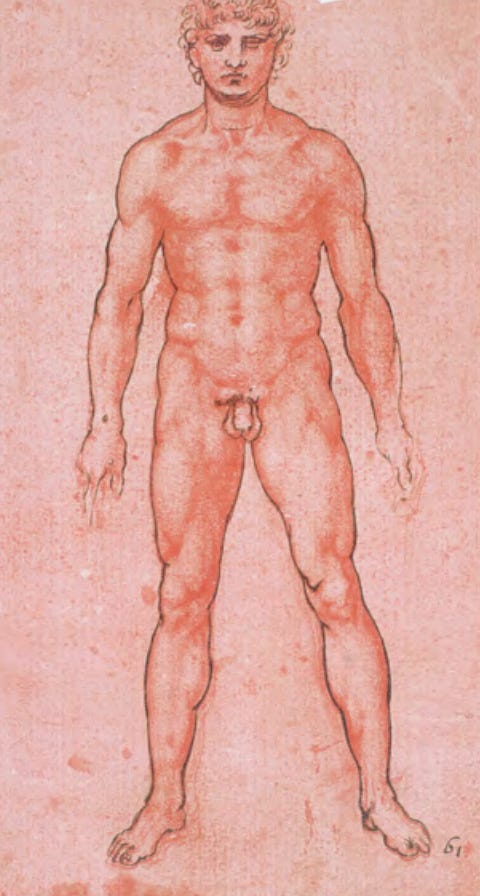Various sketches Leonardo DaVinci made of his lover and companion, known as Salai.