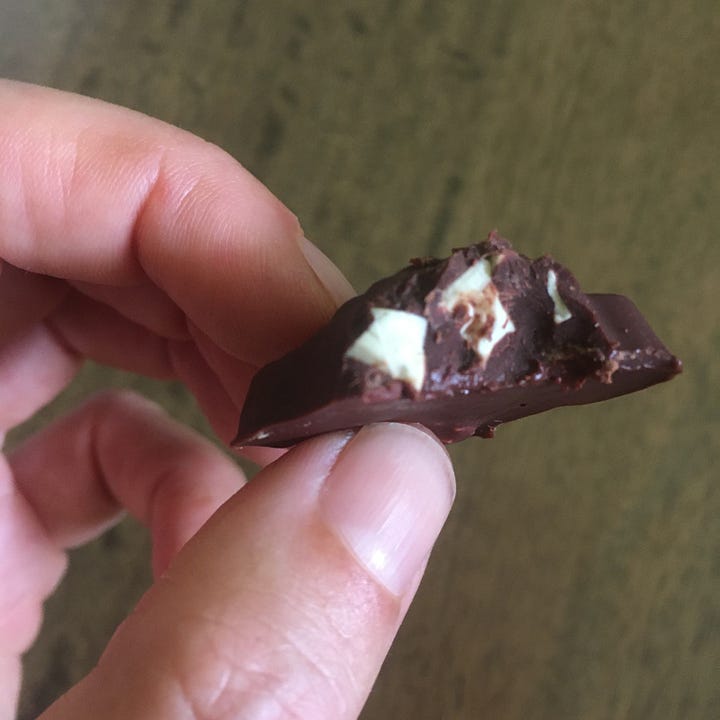 Hand holding pieces of jaguar cacao nib in dark chocolate and mylk chocolate