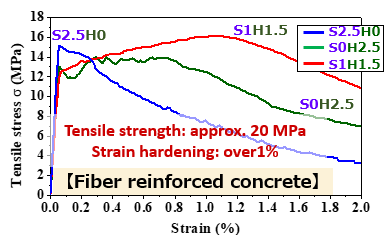 Development of Functional Concrete