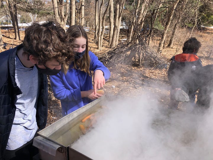 two kids looking at hot dogs cooking in maple sap, kids looking at baby chicks under a heat lamp