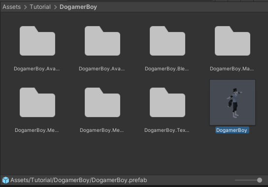 Dogamer Boy folder in Unity project, zoom out and zoom in preview