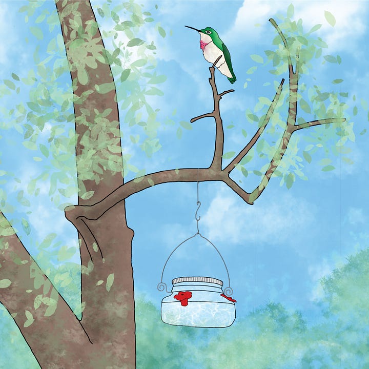 four images: author Erin Leary in bottom left image, light brown hair, white shirt, smiling, with a background of green foliage and daisies; other images are artwork from her debut book, hummingbird in flight, sitting above a feeder, drinking from flowers