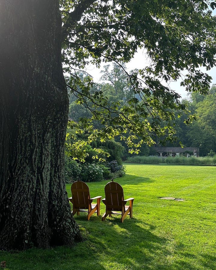 "One of the things that makes Chanticleer very special to me is the furniture placed in the garden. Most of the furniture that you see are fabricated from the staff of Chanticleer. Some of the benches and chairs are made from the lumber of trees from Chanticleer! Being able to sit and take in the serenity of the gardens, watch the birds hop from tree to tree, see the flowers dance in the wind, or just to enjoy the sunshine or shade, is why I truly believe makes Chanticleer a pleasure garden." Photos and caption by Grant Hughes