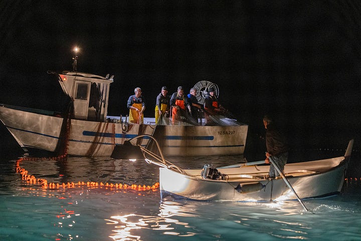 Fishing for anchovies at night in the Cilento
