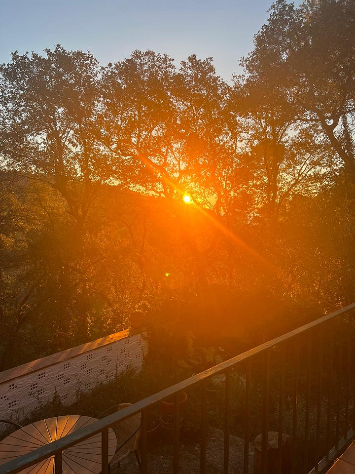 Sun breaking through a valley full of the trees, as seen through our bedroom window or the balcony outside that window, with the ocean barely visible through the branches.