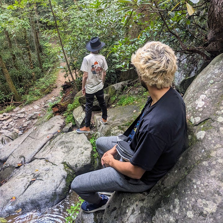 A collection of photos taken while completing the Cove Mountain Laurel Falls loop trail, with some photos featuring interesting sights (rocks, trees, and flora) indicated along the way.