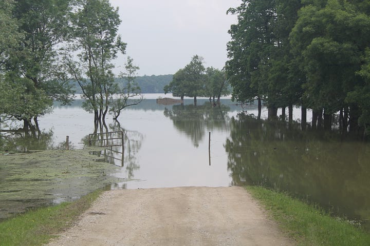 Pictures of flooded fields