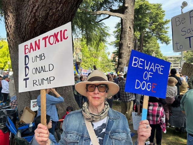Clockwise from lefft: A large crowd in a plaza, dressed warmly and carrying signs; a large crowd in a park in front of a lovely looking mountain and a few houses; a woman wearing sunglasses, a hat and a jean jacket holding two signs in front of a crowd and some trees, one of which says "Beware DOGE" and the other of which reads Ban DDT (Dumb Donald Trump); a crowd in front of a fancy looking entryway to a government building, one of whom is carrying a sign that says "No Dictators in America."