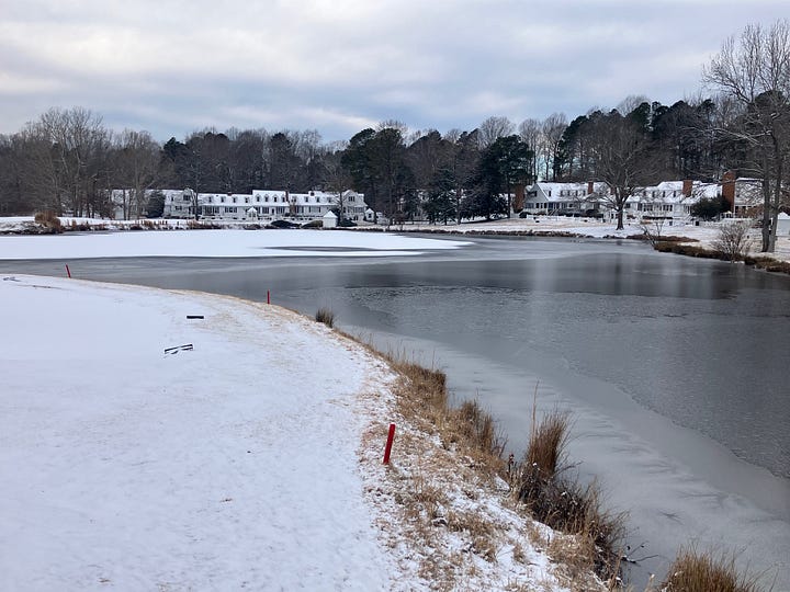 image of a frozen lake in Fords Colony and duckscrowding into small open space