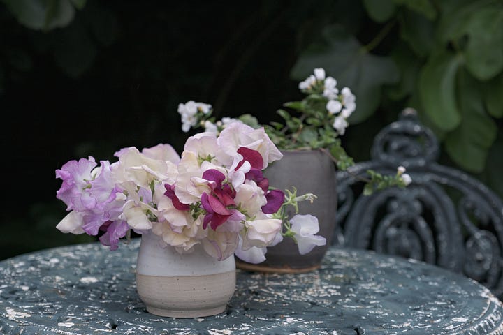 Photographs of The Generous Gardener Rose, a chive flower, sweet peas in a ceramic pot upon an iron table and flowering Verbena Bonariensis in front of a yew hedge