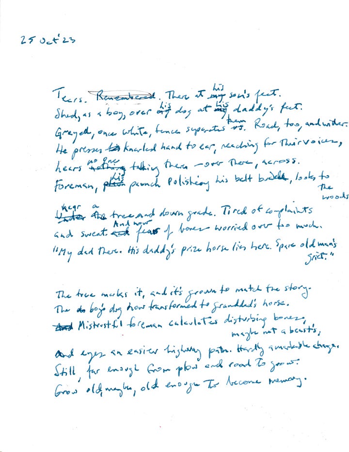 Images are notes -- brief phrases invoking an image or occurrence. Three images are devoted to three sonnets. All images are of 8.5"x11" sheets, written in ink.