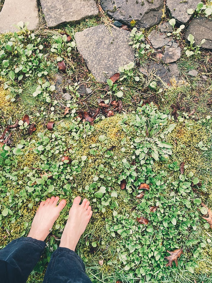 seeds in black soil in black plastic pot; bare feet on green plants and moss