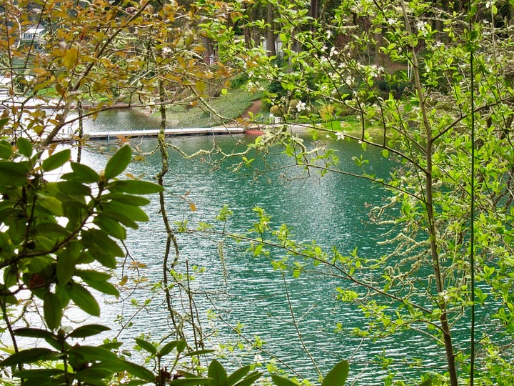 Several pictures near the edge of the lake with paths through rhododendrons and docks visible on the water.