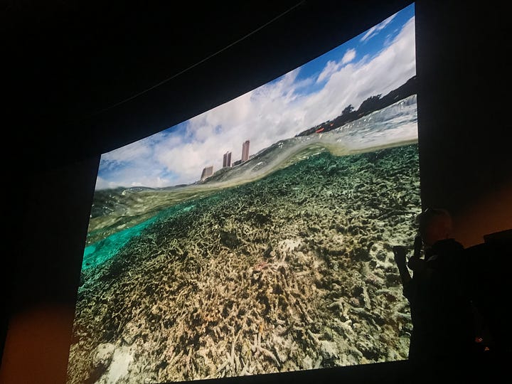 Photographs of Coral reefs in Guam taken a decade apart by David Doubilet & Jennifer Hayes